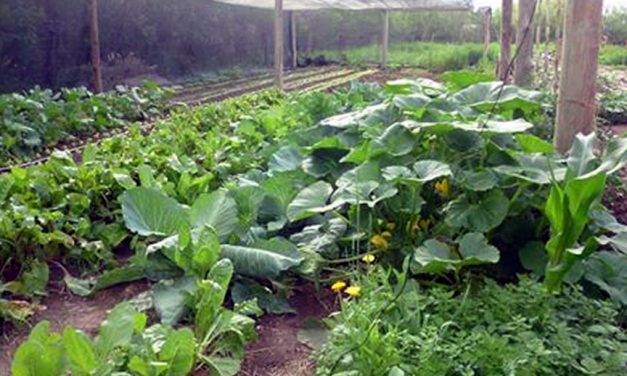 Agro Se Muestra en la AgroTécnica Rufino el 5 de octubre