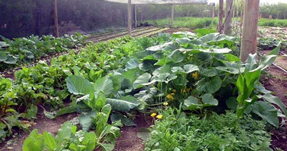 Agro Se Muestra en la AgroTécnica Rufino el 5 de octubre