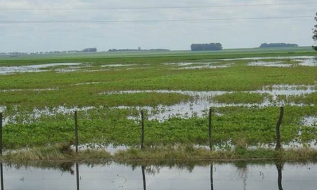 Variabilidad Climática y Anegamientos en la Pampa Húmeda Argentina