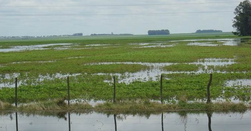 Variabilidad Climática y Anegamientos en la Pampa Húmeda Argentina