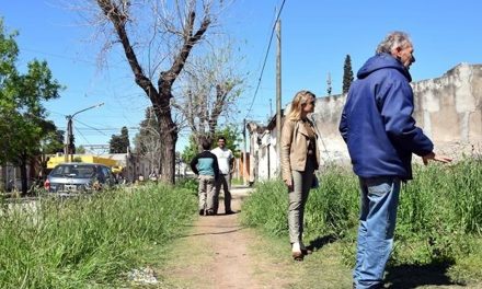 Veredas en calle América