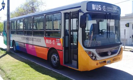 Este sábado sin colectivo por mantenimiento