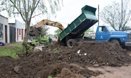 Por el Día del Trabajador Municipal asueto el lunes 13