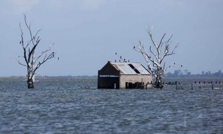 La Picasa: la obra de drenaje al Paraná costaría $ 10.000 millones