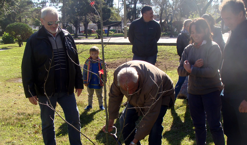 Reforestación en el Barrio Gral San Martín