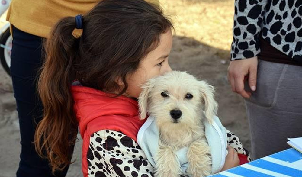 Vacunación antirrábica para mascotas