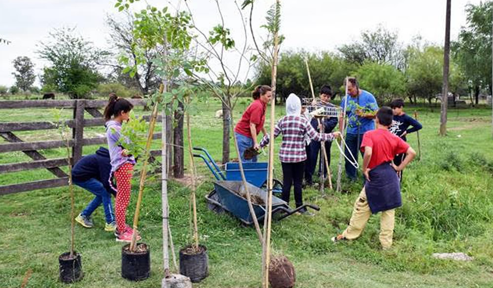 Plantación de árboles en la 6426