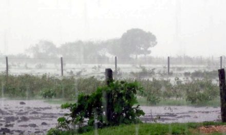 Se recupera el vecino que a consecuencia de la fuerte tormenta cayó de la moto en la zona rural