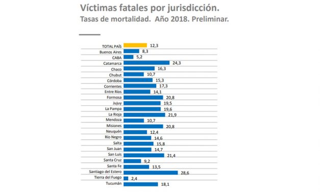 Más de 1,5 millones de personas que circulan en auto pasaron a utilizar el cinturón de seguridad