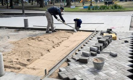 Centralidad: pavimento articulado en calle central