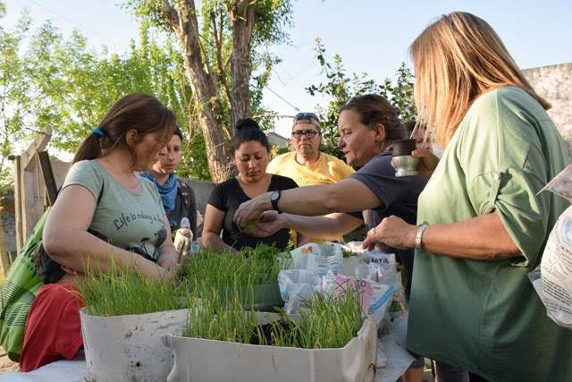 Segunda jornada de intercambio de plantines