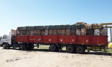 Más de 14 mil kilos de plástico vendido