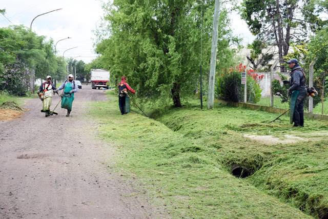 Desmalezado en instituciones