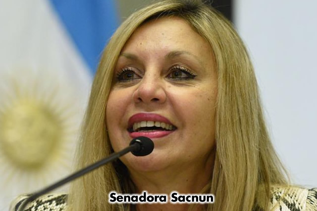 Primera Sesión Remota del Senado de la Nación Argentina