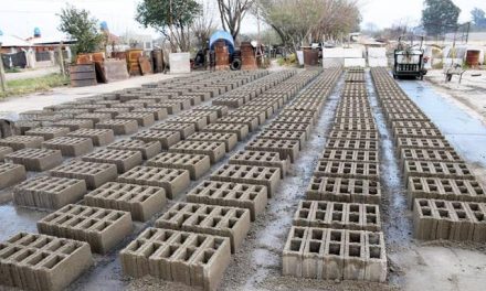 Confección de ladrillos en el obrador