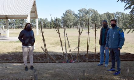 Entrega de árboles a clubes de Rufino