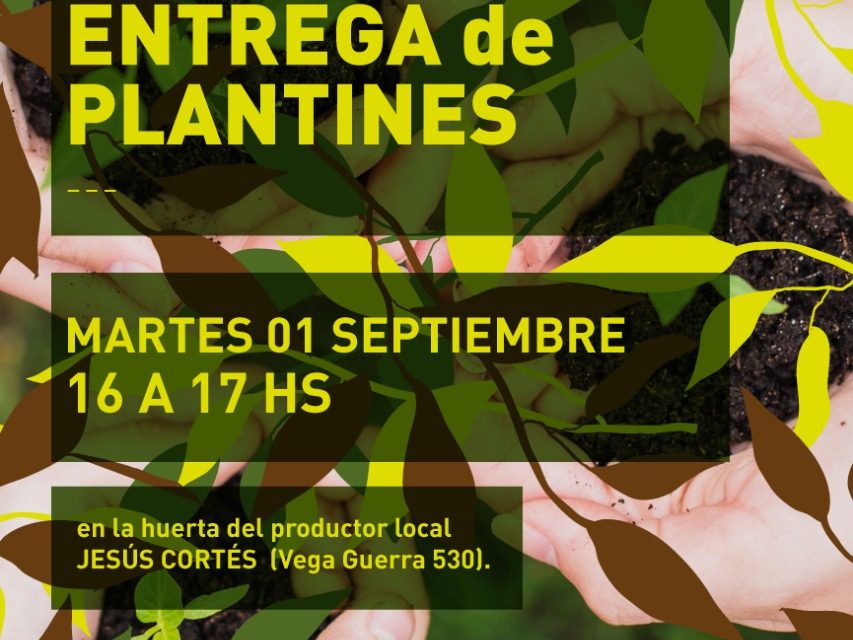 Jornada de entrega de plantines