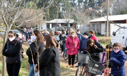 Entrega de plantines