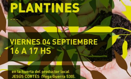 Este viernes entrega de plantines en lo de Cortés