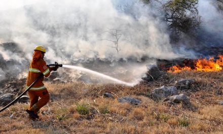 Alerta Amarilla por los Incendios Forestales en Córdoba, Bomberos de Rufino podrían ser convocados
