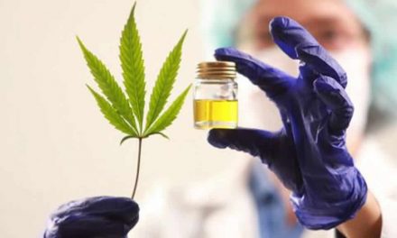 Cannabis medicinal: autocultivo y acceso gratuito, las claves de la nueva reglamentación