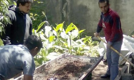 Primera cosecha de Compost en vivero municipal de Rufino