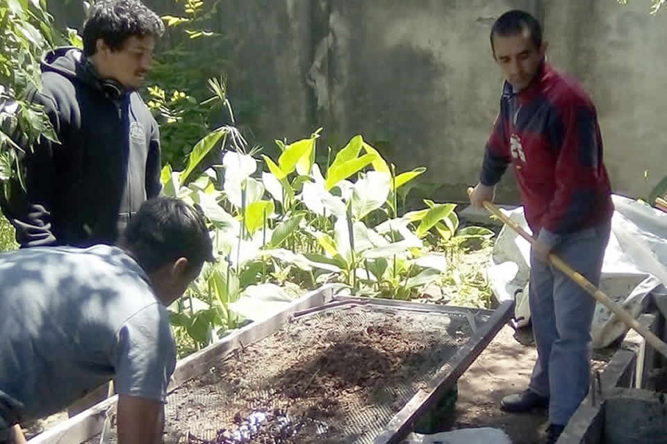 Primera cosecha de Compost en vivero municipal de Rufino