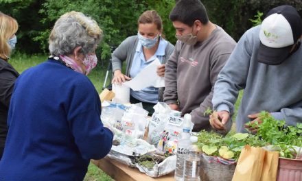 Entrega de semillas, plantines y compost