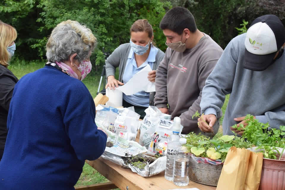 Entrega de semillas, plantines y compost