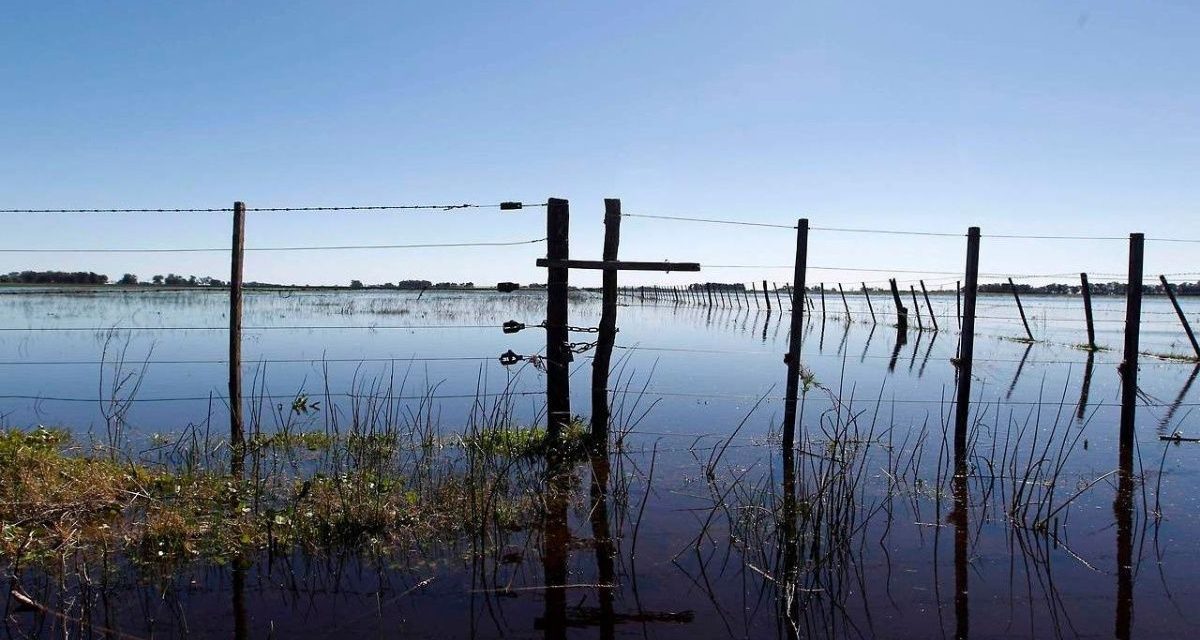 El Senador Enrico pide al gobierno provincial que se cumpla la ley que exime a productores inundados por desborde de lagunas Picasa y Melincué del pago de impuestos inmobiliarios