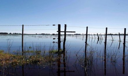 El Senador Enrico pide al gobierno provincial que se cumpla la ley que exime a productores inundados por desborde de lagunas Picasa y Melincué del pago de impuestos inmobiliarios