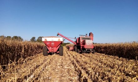 Sancti Spiritu: Lamentable accidente en zona rural, un hombre fue aplastado por un tractor