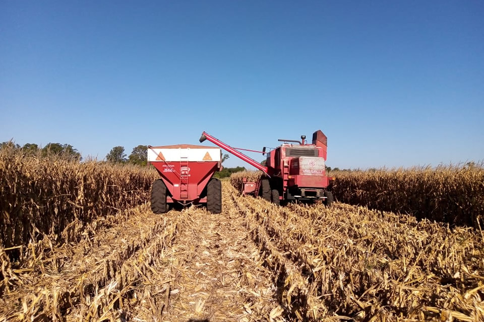 Sancti Spiritu: Lamentable accidente en zona rural, un hombre fue aplastado por un tractor