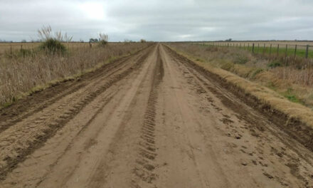 Trabajos en caminos rurales