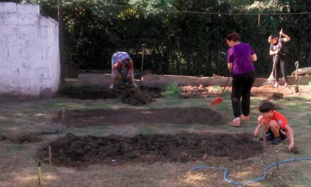 Talleres en el Hogar de Día