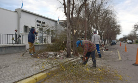 Comenzaron los trabajos en veredas de la escuela 6031