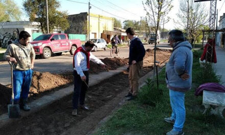 Obras que se llevan adelante en calle América