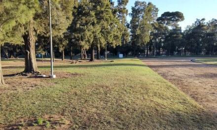 Luego de los festejos de anoche en el parque, los estudiantes recolectaron los residuos generados