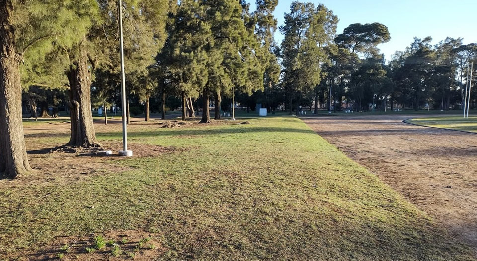 Luego de los festejos de anoche en el parque, los estudiantes recolectaron los residuos generados