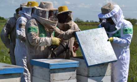 Capacitaciones para el sector Apícola a escuelas agrotécnicas