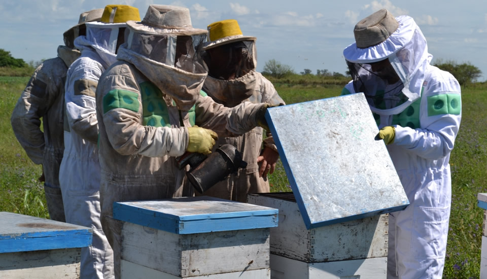 Capacitaciones para el sector Apícola a escuelas agrotécnicas