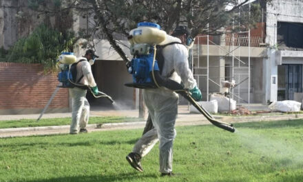 Fumigación en espacios públicos desde el lunes