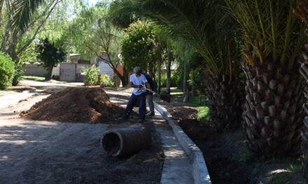 Gran avance en Barrio Jardín