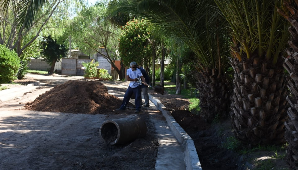 Gran avance en Barrio Jardín