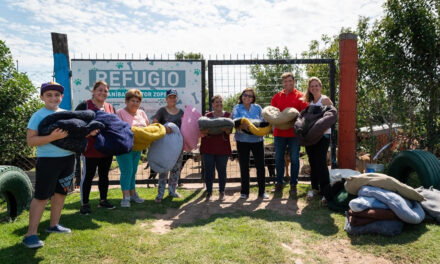 Entrega de camitas en el refugio de mascotas