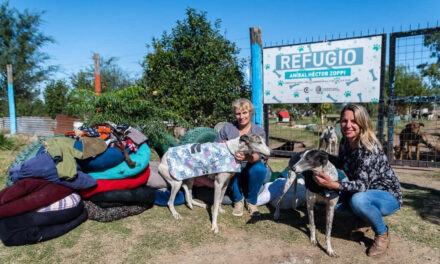 Nueva entrega de elementos al refugio Aníbal Zoppi