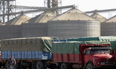 Transportistas de grano comenzaron la semana con un paro nacional