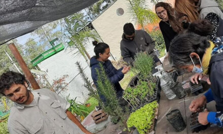 Taller de Jardinería y Poda