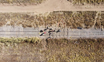 Nuevas obras de vía en la traza del San Martín