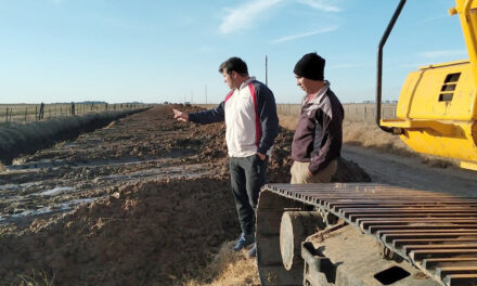 Adoquinado de barrio Jardín, cordón cuneta en zona del Parque Municipal, calle Brown y caminos rurales, son algunas de las obras municipales